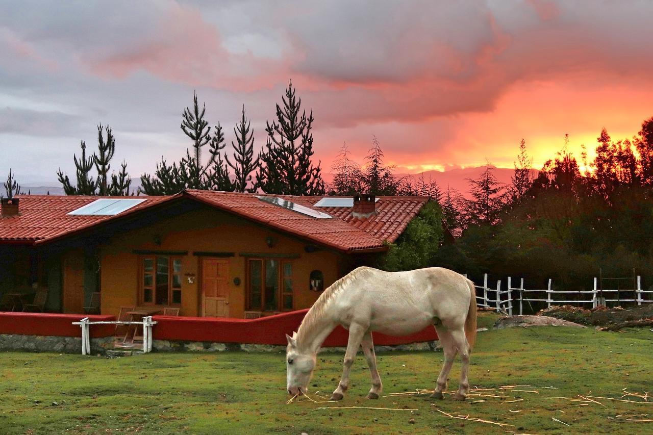 The Lazy Dog Inn A Mountain Lodge Huaraz  Eksteriør bilde