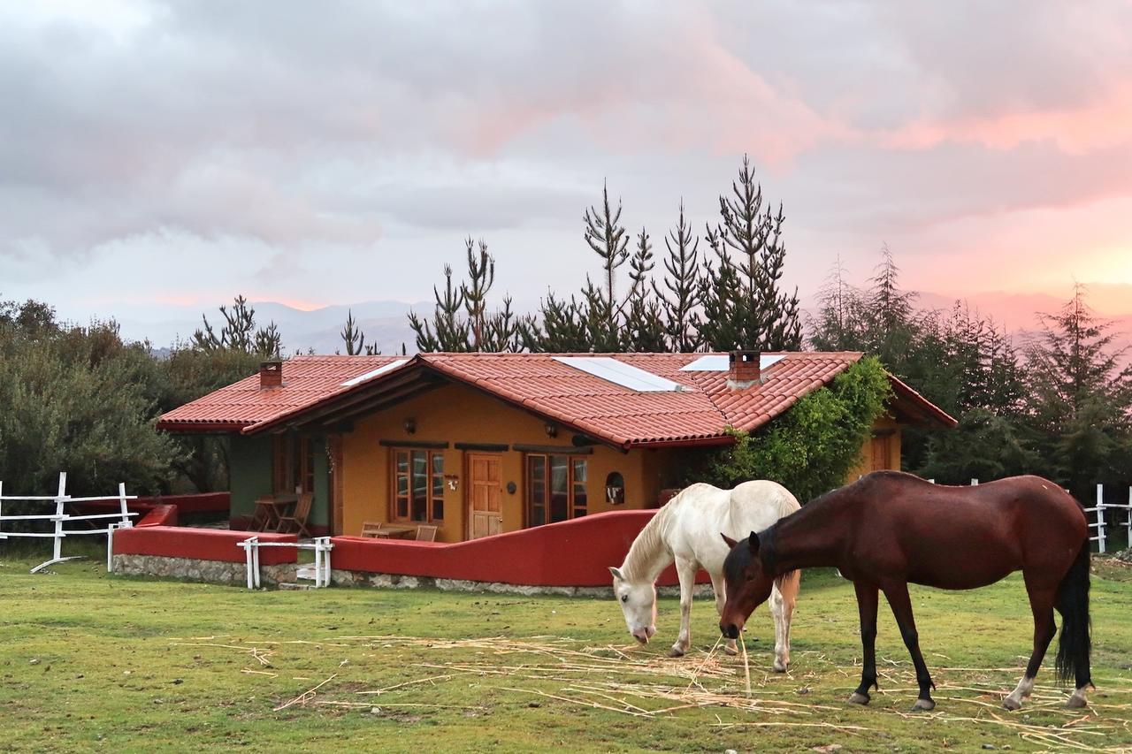 The Lazy Dog Inn A Mountain Lodge Huaraz  Eksteriør bilde