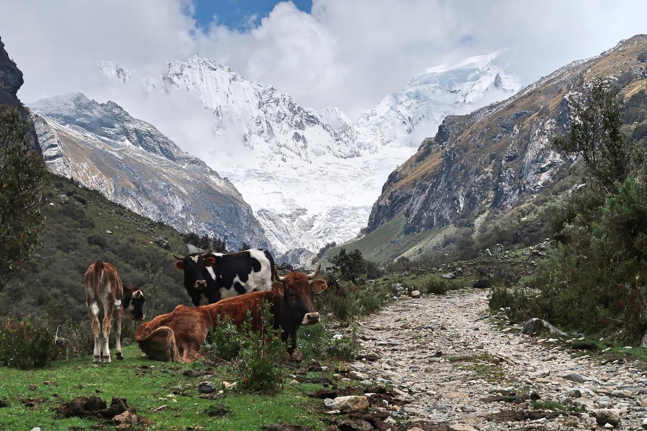 The Lazy Dog Inn A Mountain Lodge Huaraz  Eksteriør bilde
