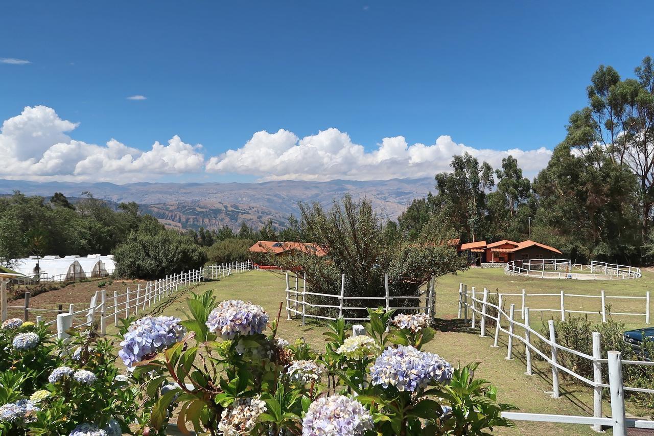 The Lazy Dog Inn A Mountain Lodge Huaraz  Eksteriør bilde