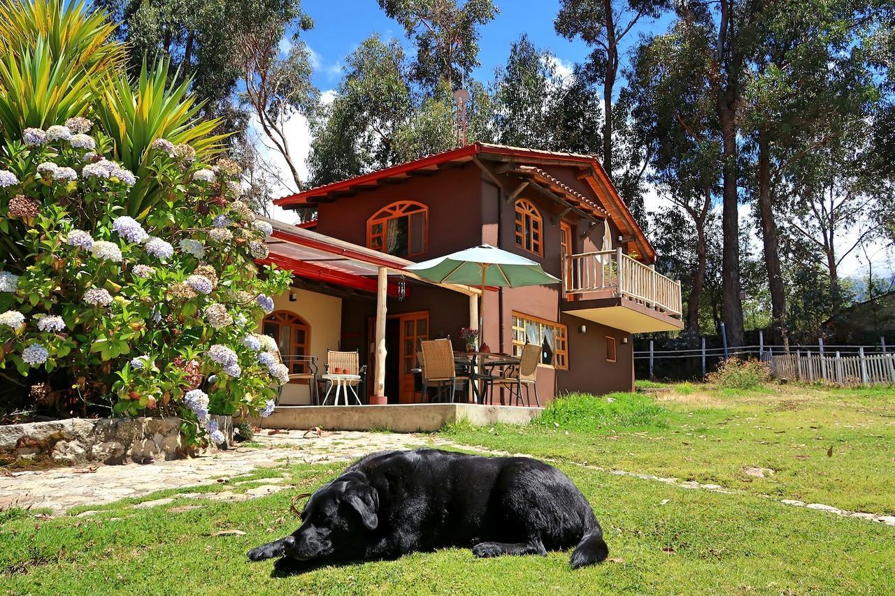 The Lazy Dog Inn A Mountain Lodge Huaraz  Eksteriør bilde